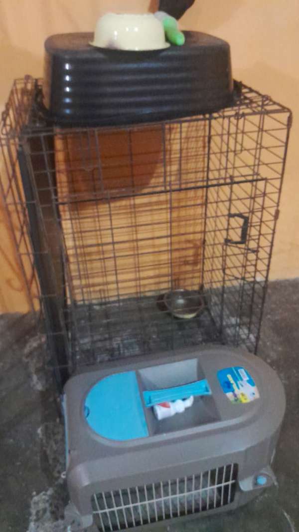 Cage and kennel