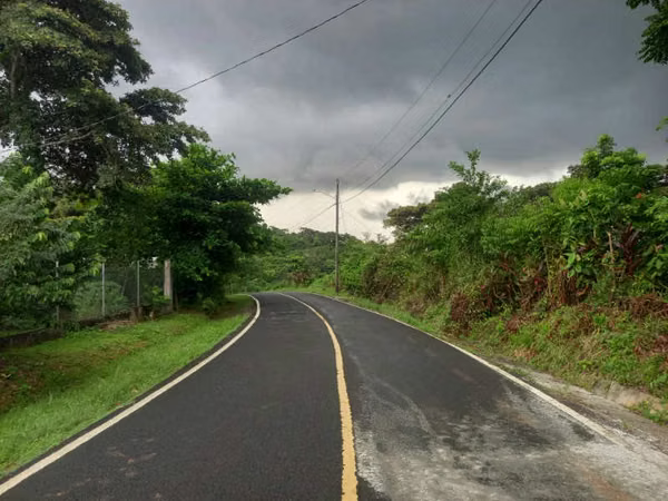 LAND IS SOLD IN GOLD FROG, PEDREGAL