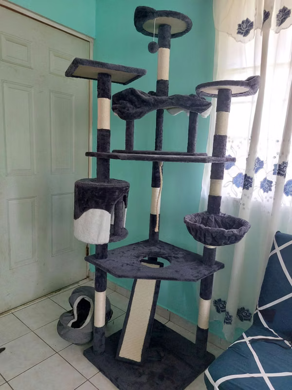 Beautiful furniture for cats