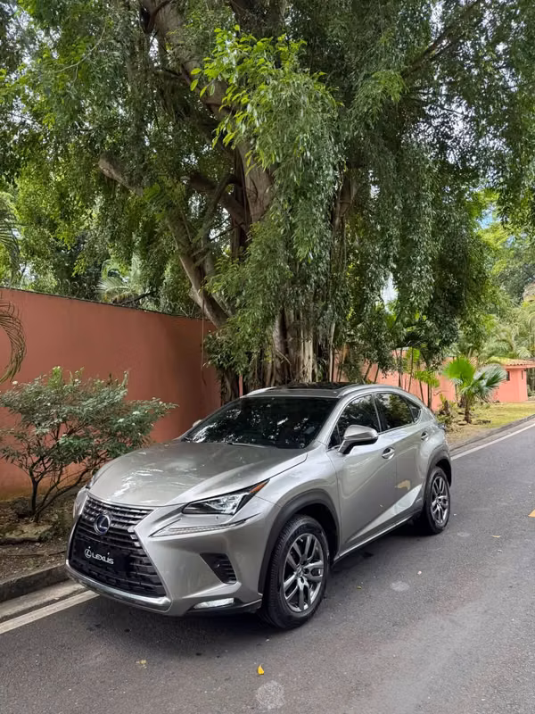 LEXUS NX 2019 $21,900