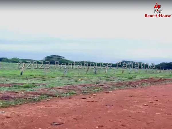 Land Rental in Aguadulce DPA24-967