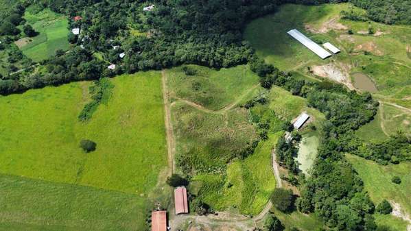 Sale of Finca, near the Anton Valley