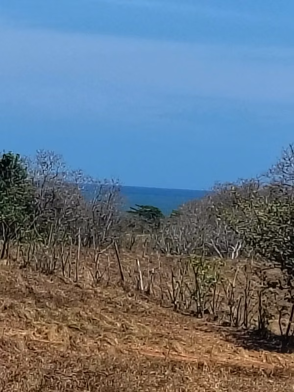 It's only 700 METres from the MAR! LOT of 1.449 m ² with LIGHT AND WATER IN POCRI
