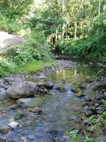 Titled lot 4.1 Ha with rolling hills - Lot titled 4.1 hectares with wavy hills.