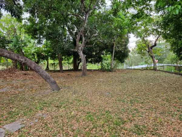 It is sold or rented central house in the Higo de San Carlos