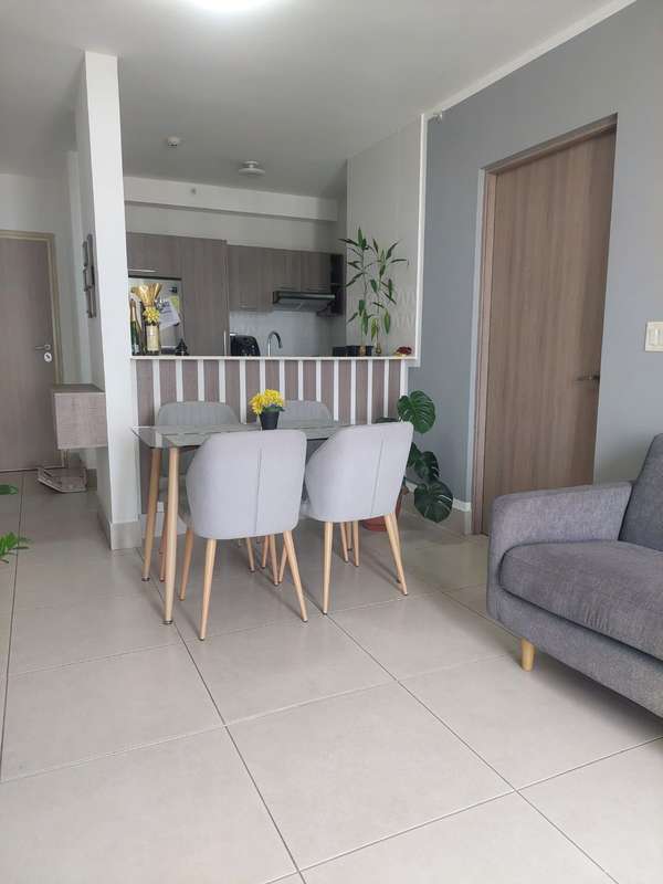 PH Vivendi Green Furnished Apartment for Rent in Edison Park
