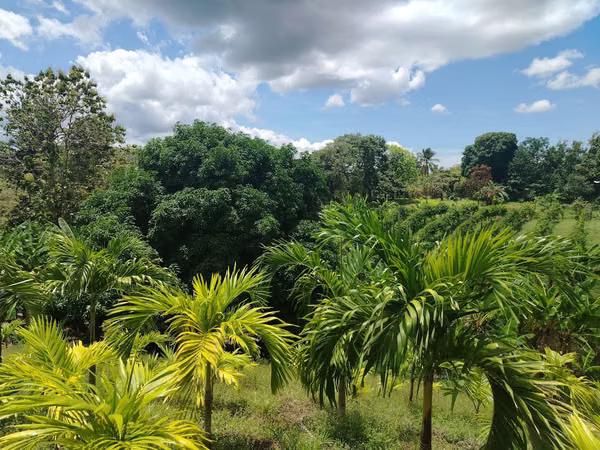 11.7-hectare property near the Coronado commercial area, ideal for a development project leveraging the new cars