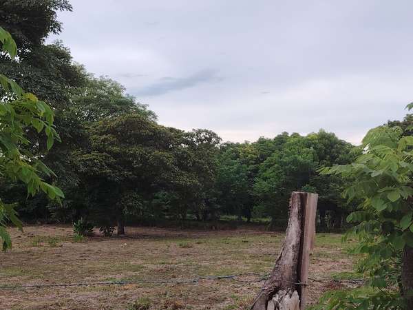 Land of 4,693 m ² for sale