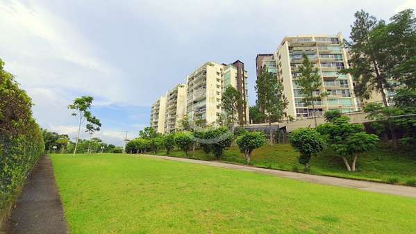 Venta Apartamento Pine Hill Albrook Remate