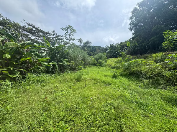 VENTA DE TERRENO EN CHILIBRE CENTRO MCD25-3082