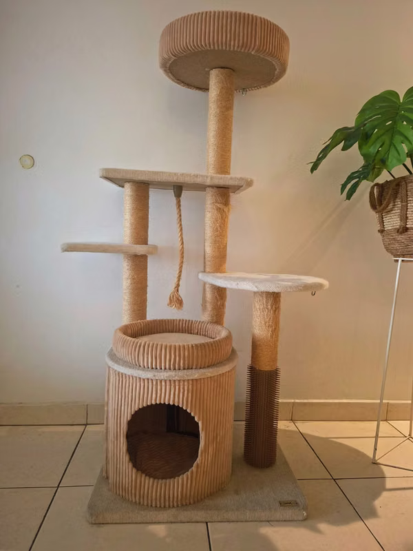 Gym for Cats