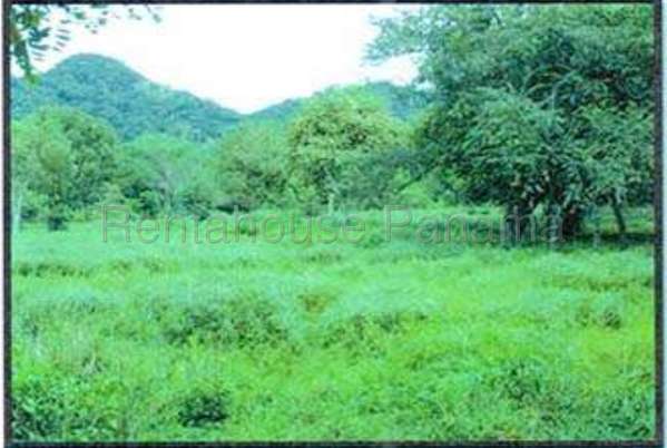 Land Sale in Capira 27MGO2813