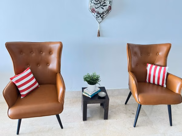 Set of 2 chairs for the living room... luxurious and in very good condition.