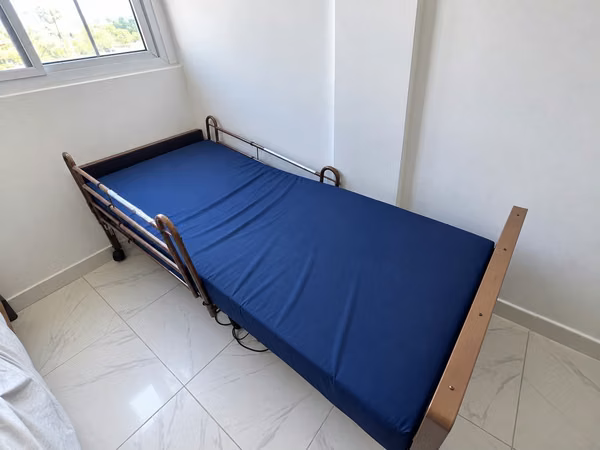 Semi-electric bed