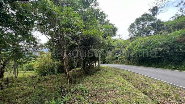 Terreno en Venta Cocle 25SPCG9772