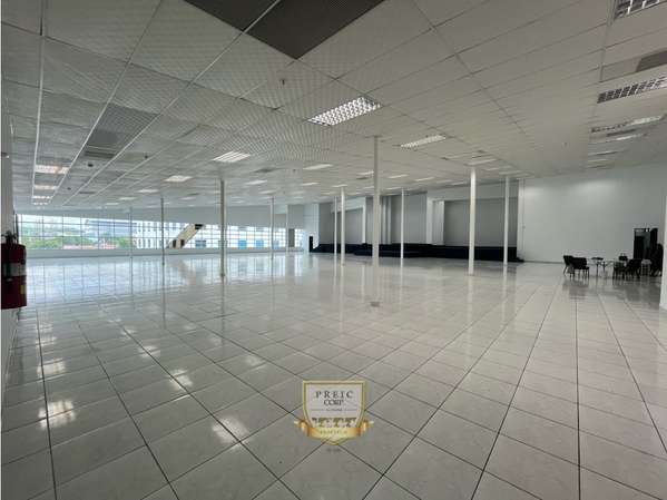 Alquiler o Venta local Comercial Via Domingo Diaz