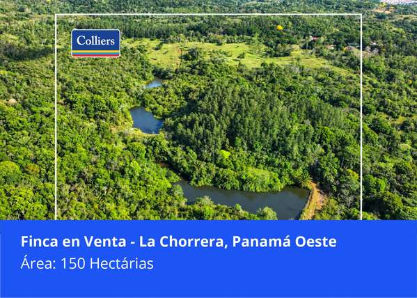 Finca en venta en La Chorrera 150 hectáreas