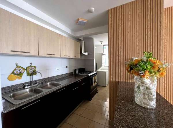 Alquilo apartamento PH Sky Point tower-a pasos de la UIP-USMA y UTP