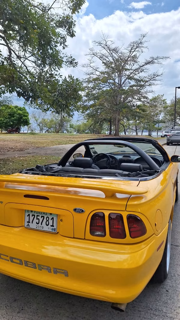  Mustang cobra
