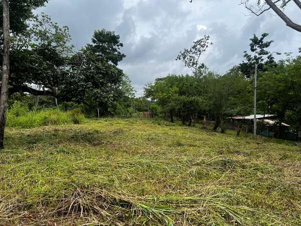 VENTA DE TERRENO DE 4,200 M² EN EL COCO, LA CHORRERA – EXCELENTE OPORTUNIDAD (OR)