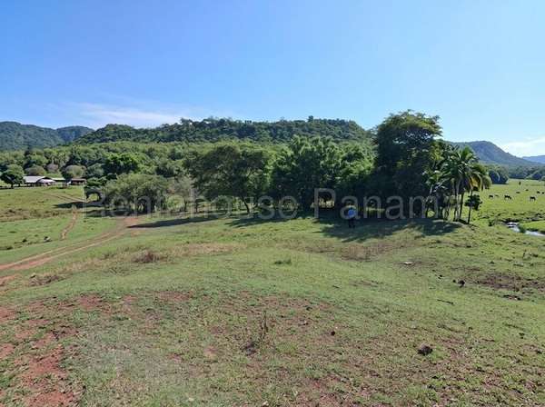 Venta de Terreno en La Villa de los Santos ABS