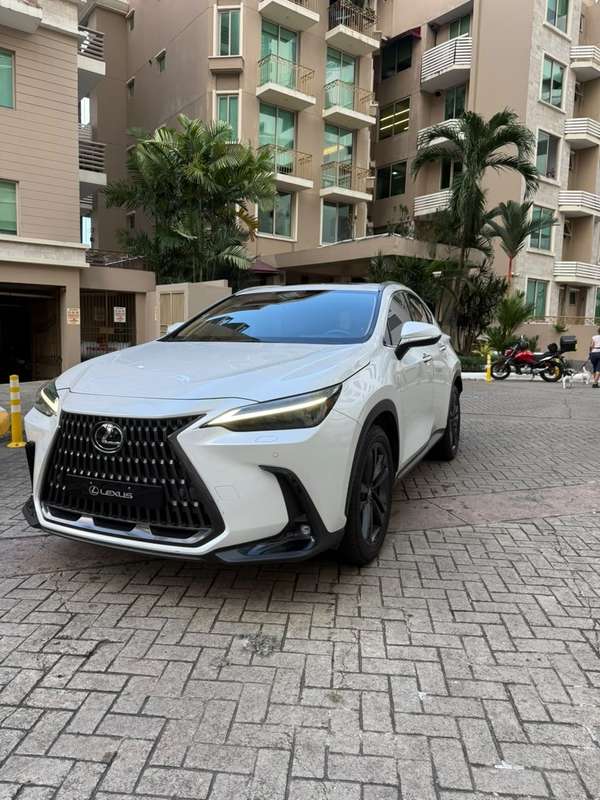 Lexus NX 350h Luxury AWD 2024 - Híbrido - 11300km