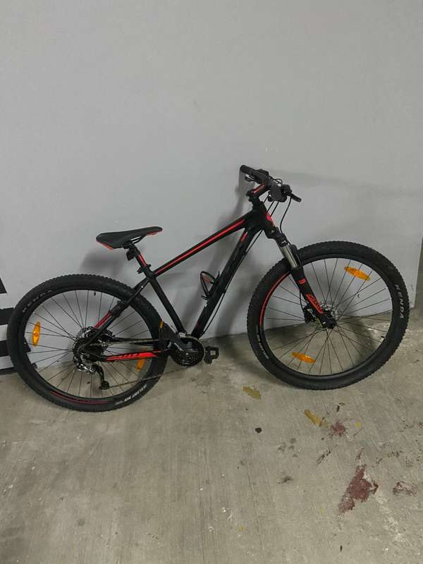 Scott montañera 295