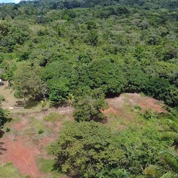 Lotes titulados en La Gloria, Arraiján: 5638 m² para inversión estratégica cerca de escuelas y tráfico.