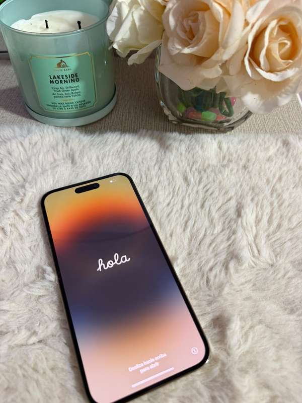 iPhone 14 Pro Max Gold  – 256 GB 