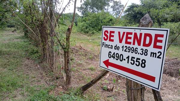 Se Vende Excelente Finca de 12,996.38 m2 (1.3 hectáreas) en El Higo de Cochea, David