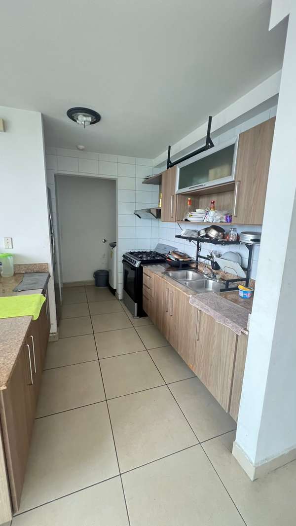 ALQUILER APARTAMENTO CONDADO DEL REY AMUEBLADO PH KINGS PARK 