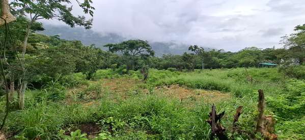 Terreno en Sora, Chame – 4500 m² por $97,000
