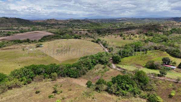 Venta - Terreno de 94.75 Hectáreas | 100 % Mecanizable | Agua Todo El Año. Algarrobos, Veraguas AMD