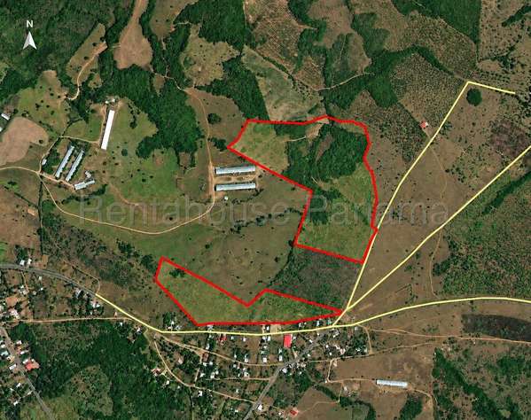 FINCA DE 20.5 HECTÁREAS EN VENTA | ALTO DE LA MESA, VERAGUAS AMD