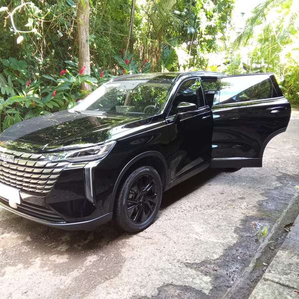 NEW and CUSTOMIZED vehicle! It's just 1 month old. Low mileage. FOR SALE because we're moving abroad!