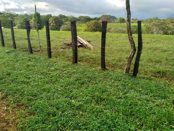 Vendo lote de terreno a solo 12 minutos de Playa Las Lajas