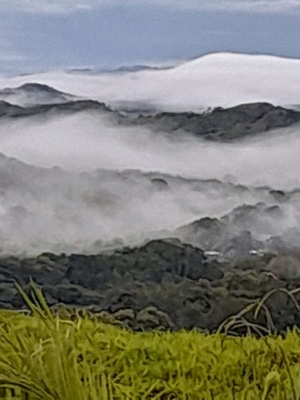 Se Vende hermosa Finca Agropecuaria en Palo Verde de Cañazas