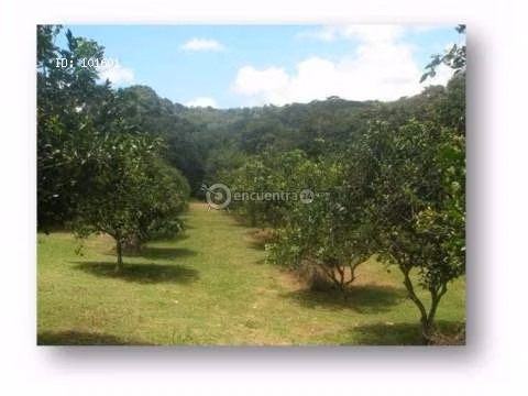 Finca in Penonome, Cocle, 11 hectares