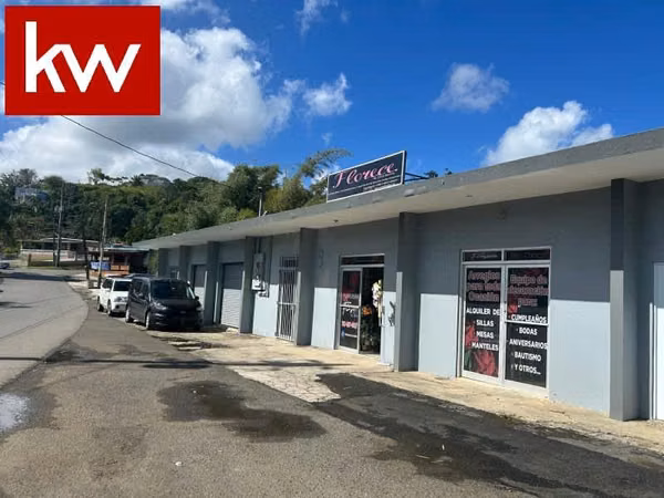 Bo. Honduras, Local Comercial en Barranquitas