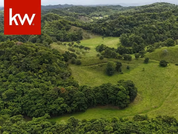 Bo. Río Arriba Poniente, Finca en Manatí