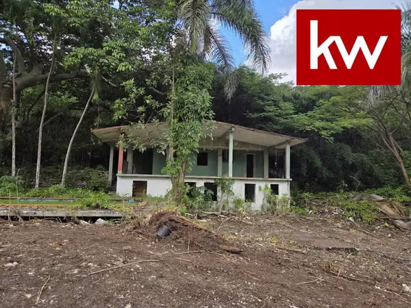 Bo. Morovis Norte, Finca en Morovis