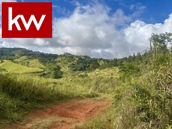Bo. Salto, Finca en Orocovis