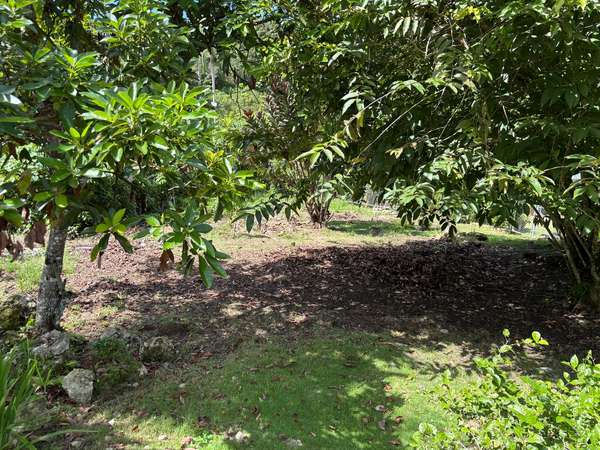 1 Cuerda Terreno Bo. Piletas, Lares
