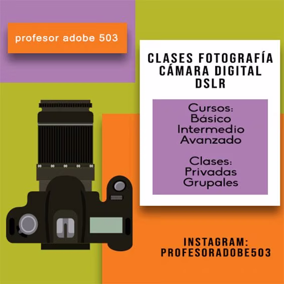 Adobe/Photograph/Art/Design Programs