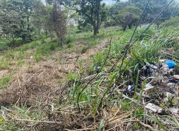 VENDO 5.2 MANZANAS DE TERRENO EN NUEVO CUSCATLÁN