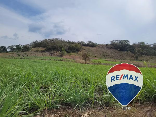 NEJAPA. TERRENOS EN VENTA. Z COCA COLA, DESDE 5 MZ.