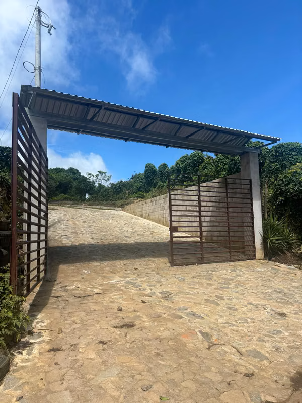 PRE SALE BATCH BATCH BATCH, JUAYUA, SONSONATE