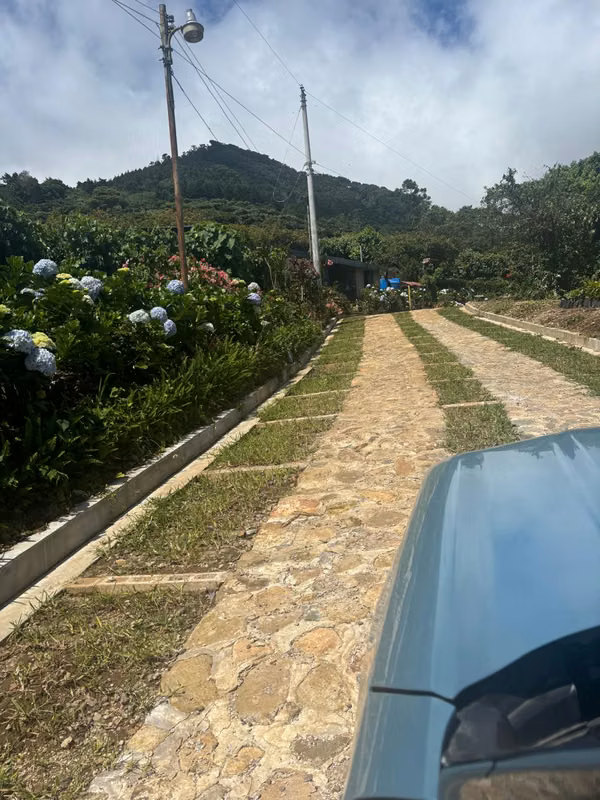 PRE SALE BATCH BATCH BATCH, JUAYUA, SONSONATE