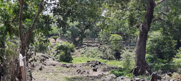 VENTA 9.5  MANZANAS TERRENO FRENTE A ZONA FRANCA EN  SANTA ANA