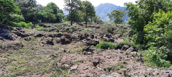 VENTA 9.5  MANZANAS TERRENO FRENTE A ZONA FRANCA EN  SANTA ANA